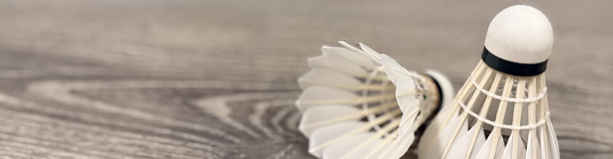 Badminton Vereniging Martinus Amstelveen